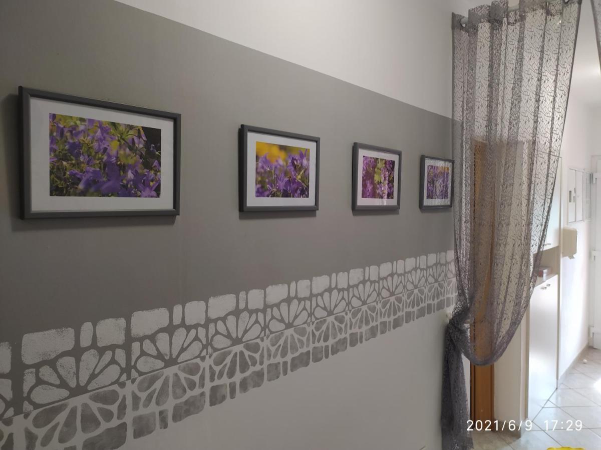 Apartment Sara Novi Vinodolski Zewnętrze zdjęcie