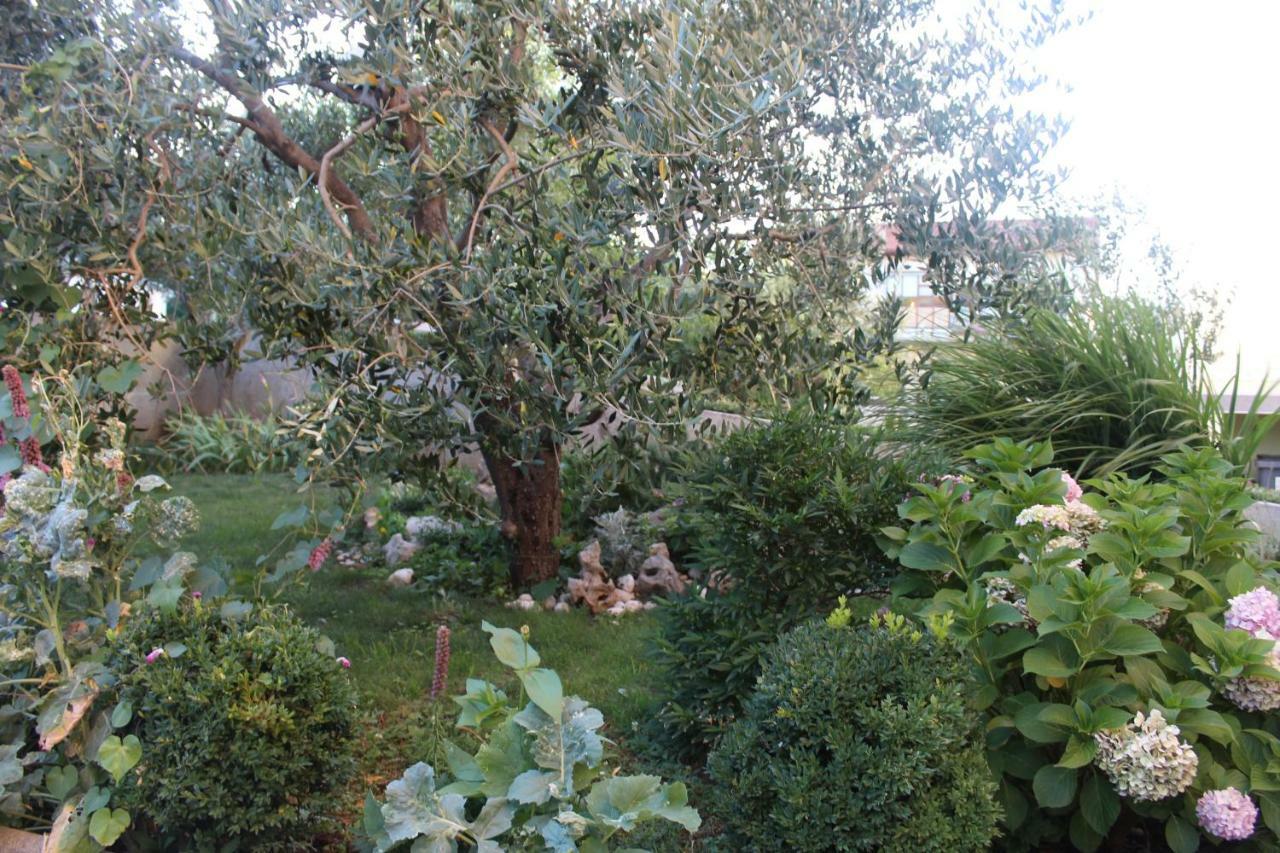Apartment Sara Novi Vinodolski Zewnętrze zdjęcie